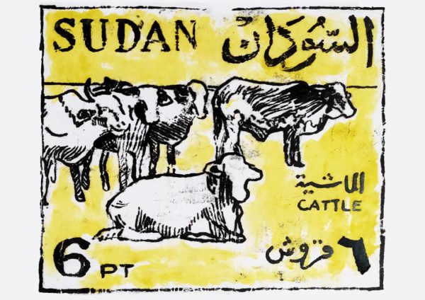 CATTLE 2 compressed